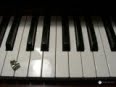 pianoforte acustico o digitale?